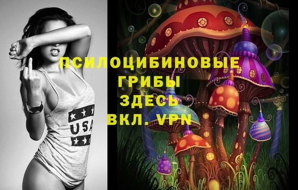 стафф Абинск