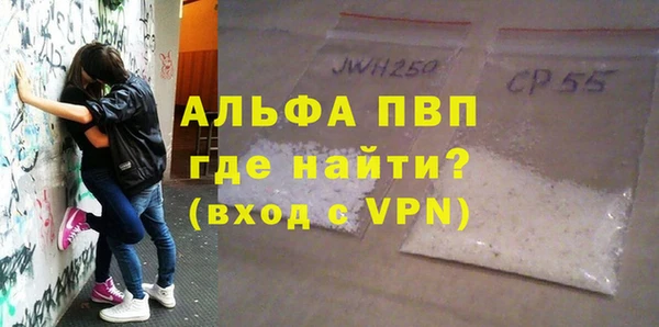 прущие грибы Наволоки
